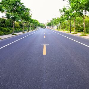 road-with-trees